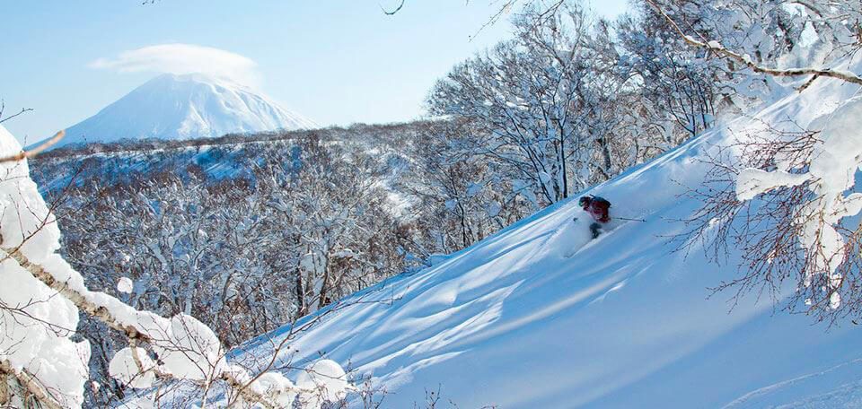 niseko_skiing_downhill